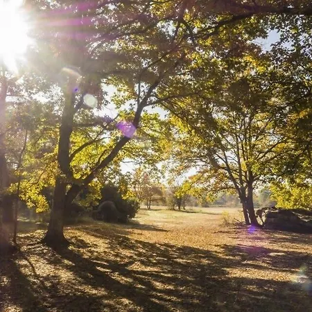 Le Nid - Center - דירה *